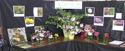 Table of flower arrangements