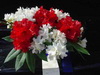 arrangement2